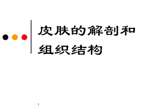 皮肤的解剖和组织结构ppt课件.ppt