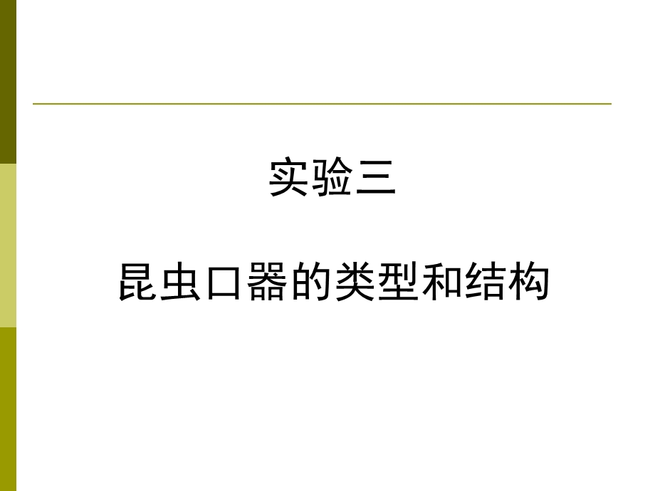 普昆实验三昆虫口器的结构与类型课件.ppt_第1页