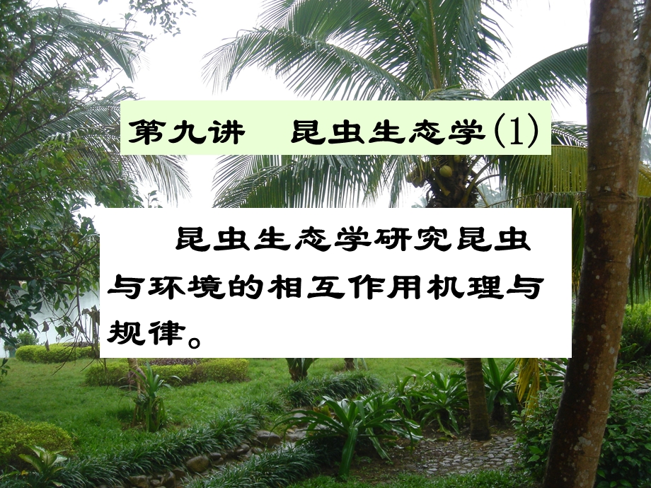 有效积温法则昆虫完成一定的发育阶段课件.ppt_第1页