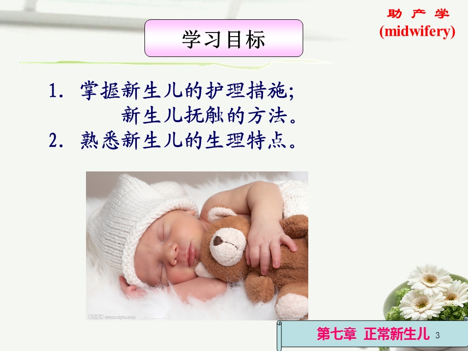 正常新生儿课件.ppt_第3页