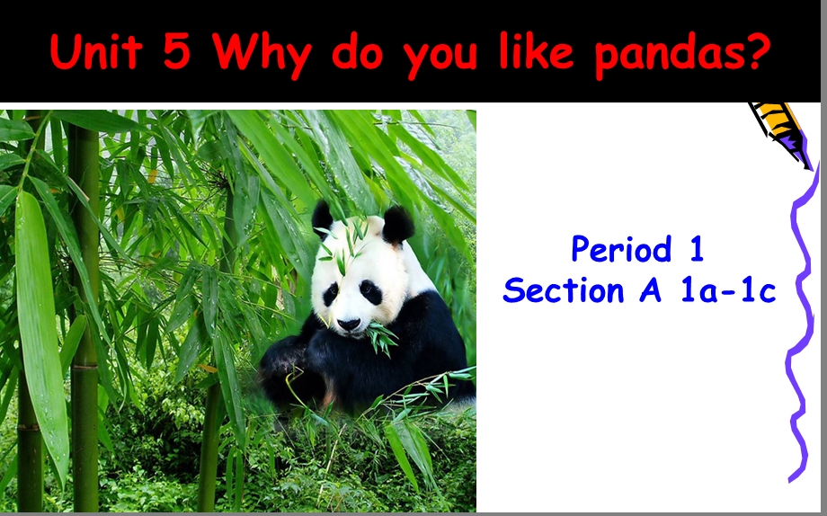 新人教版七年级英语下册Unit-5-Why-do-you-like-pandas-公开课ppt课件.ppt_第2页