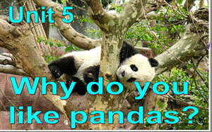 新人教版七年级英语下册Unit-5-Why-do-you-like-pandas-公开课ppt课件.ppt