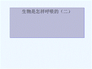 浙教版科学八年级下册《生物是怎样呼吸的》第二课时教学课件.ppt