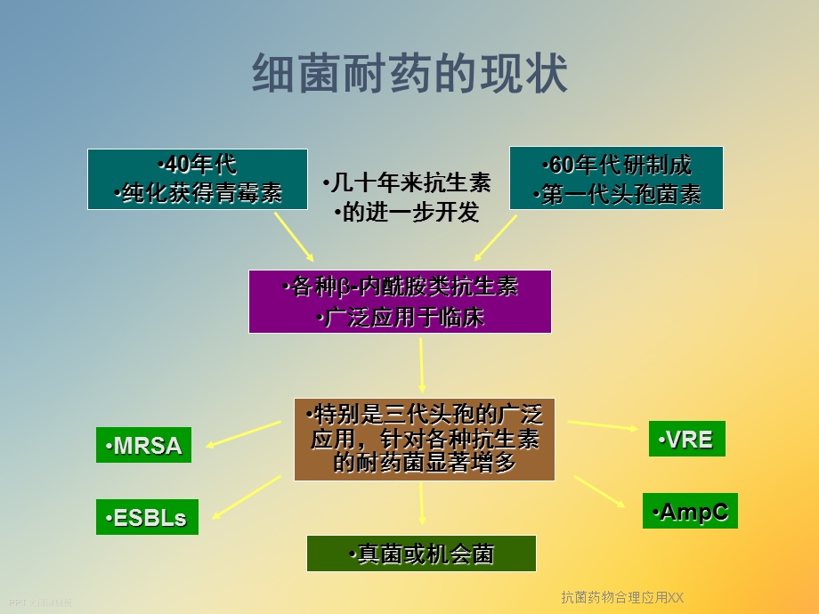 抗菌药物合理应用XX课件.ppt_第2页