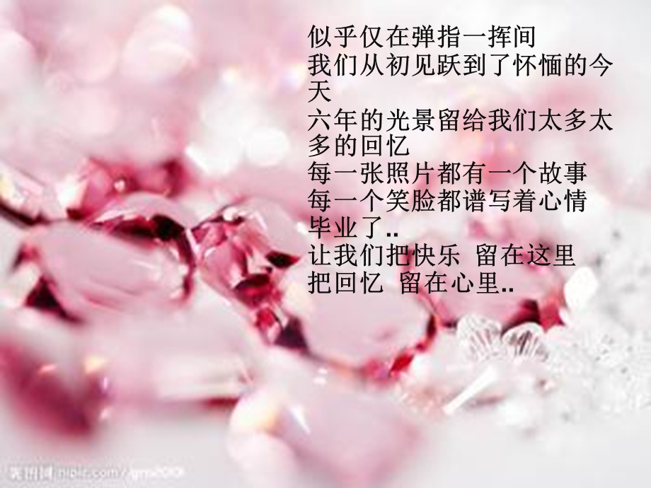 毕业主题班会课件.ppt_第2页