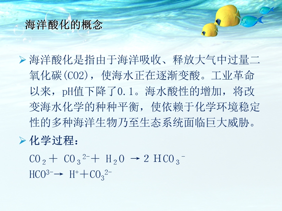 海水酸化作业课件.ppt_第2页