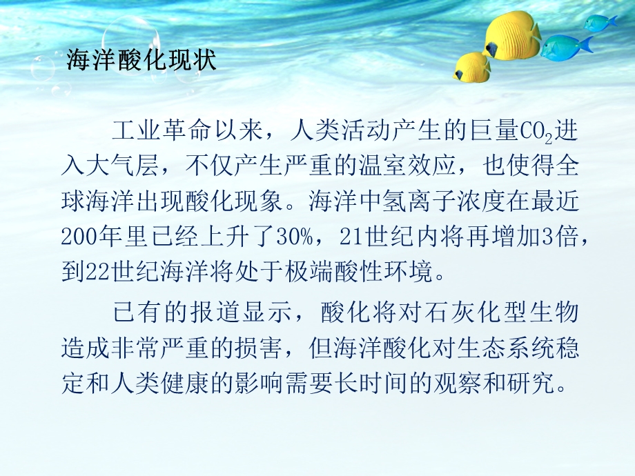 海水酸化作业课件.ppt_第3页