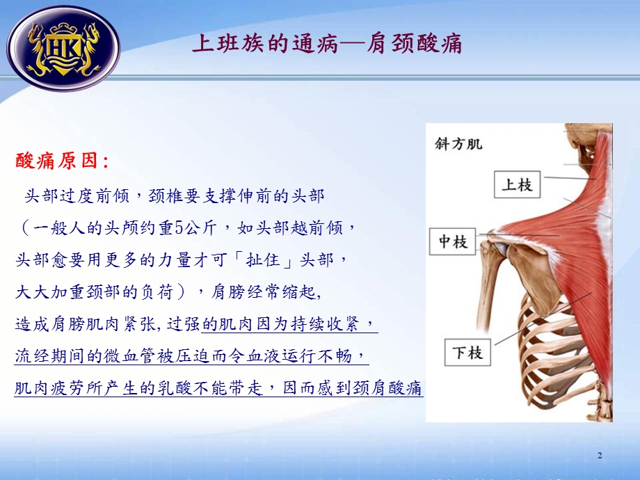 肩颈舒缓办公操课件.ppt_第2页