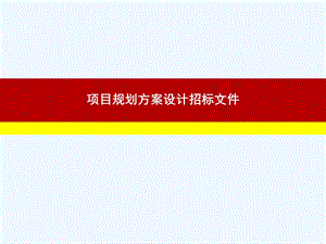 某项目规划方案设计招标文件课件.ppt