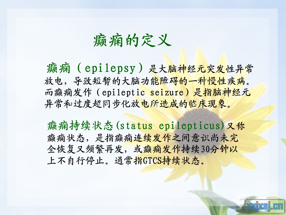 癫痫的护理查房课件.ppt_第2页