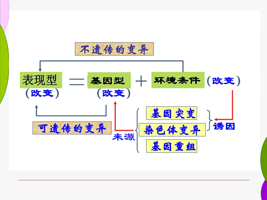 浙科版生物变异的来源课件.ppt_第3页