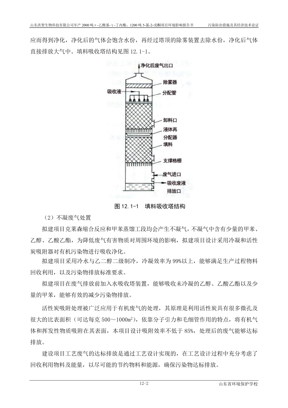 环境影响评价报告公示：产2000吨α乙酰基γ丁内酯、1200吨5氯2戊酮项目第12章污染防治论证环评报告.doc_第2页