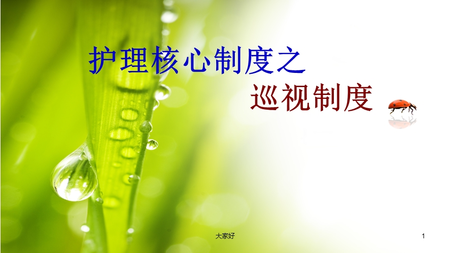 精神科护理巡视制度课件.ppt_第1页