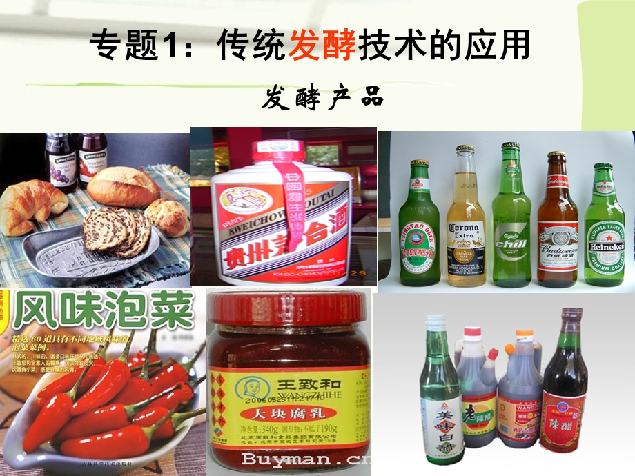 果酒和果醋的制作上课用课件.ppt_第1页