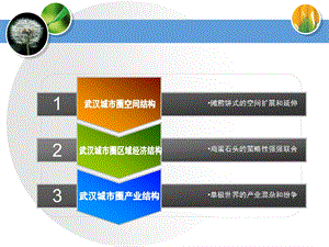 武汉城市圈经济发展的困局与思索课件.ppt