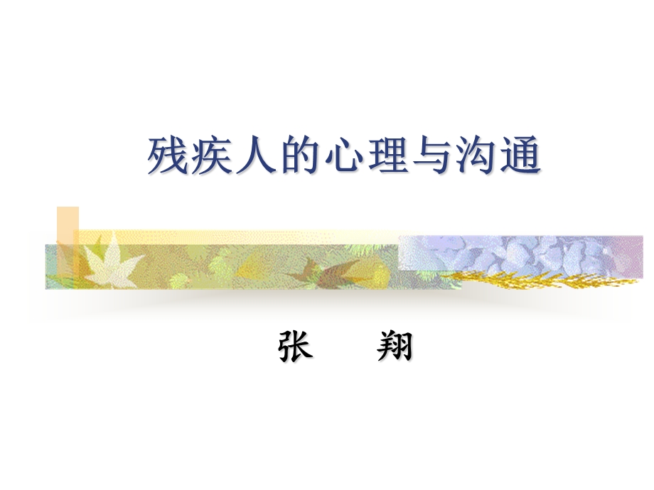 残疾人的心理与沟通培训教材课件.ppt_第1页