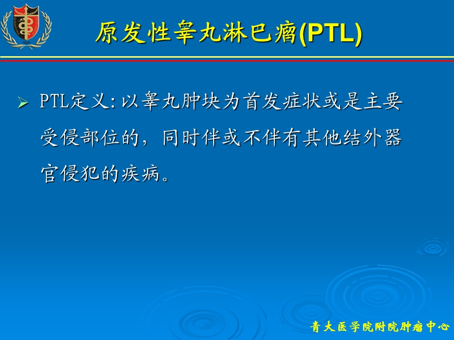 睾丸淋巴瘤课件.ppt_第2页