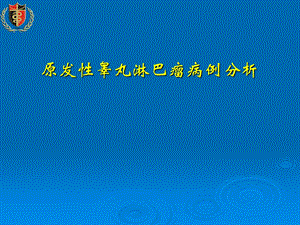 睾丸淋巴瘤课件.ppt