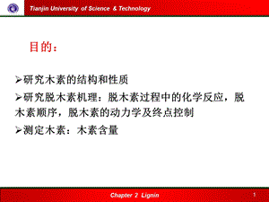 木素的分离与精制课件.ppt