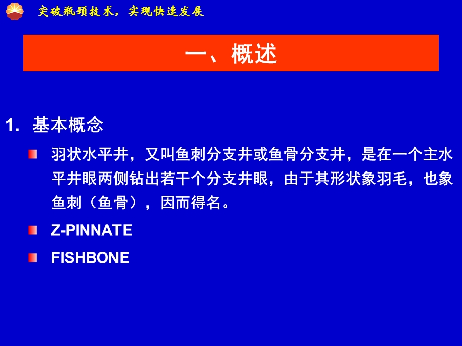 煤层气羽状水平井技术方案课件.ppt_第3页