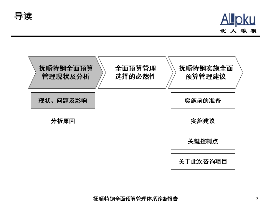 某公司全面预算管理体系诊断报告课件.ppt_第2页