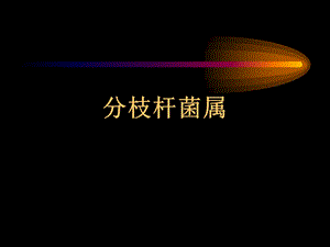 结核ppt课件-分枝杆菌属.ppt