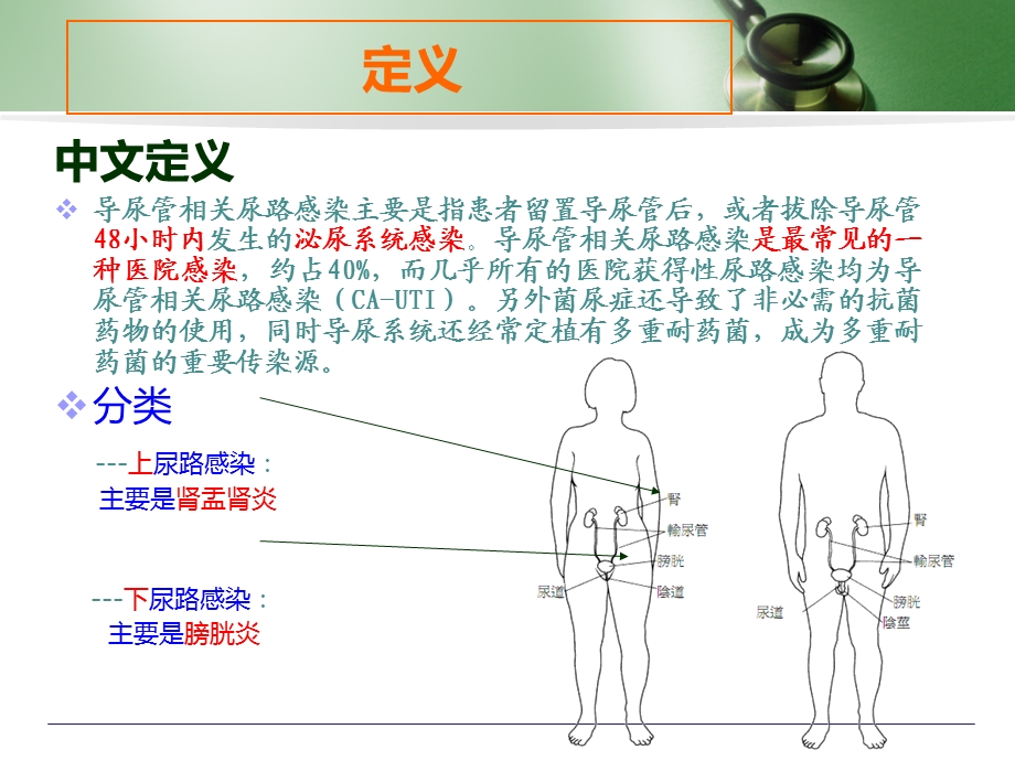 导管相关尿路感染课件.ppt_第3页