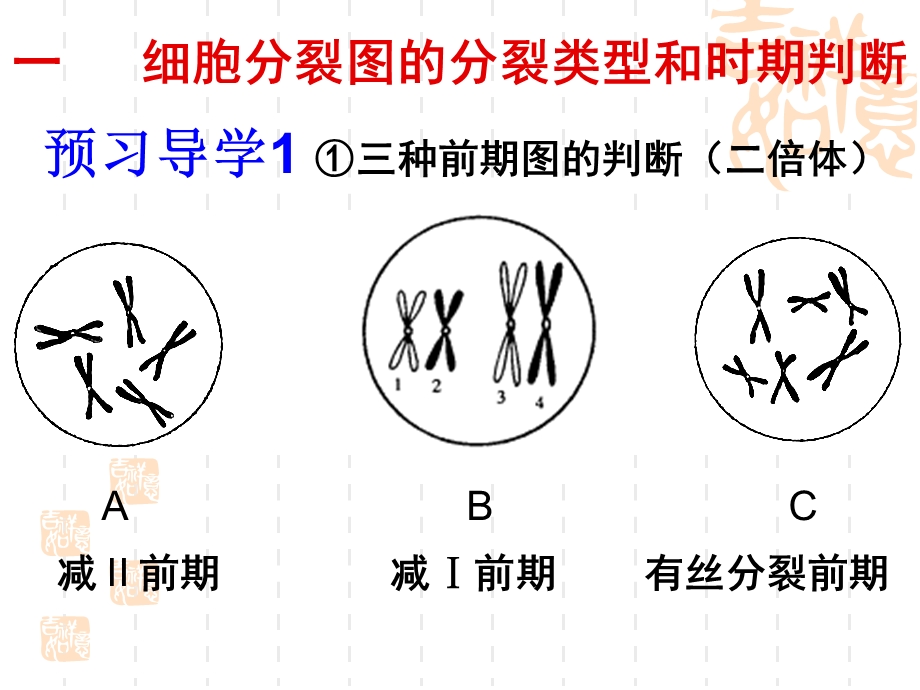 综合复习：细胞分裂及其变异分析课件.ppt_第2页