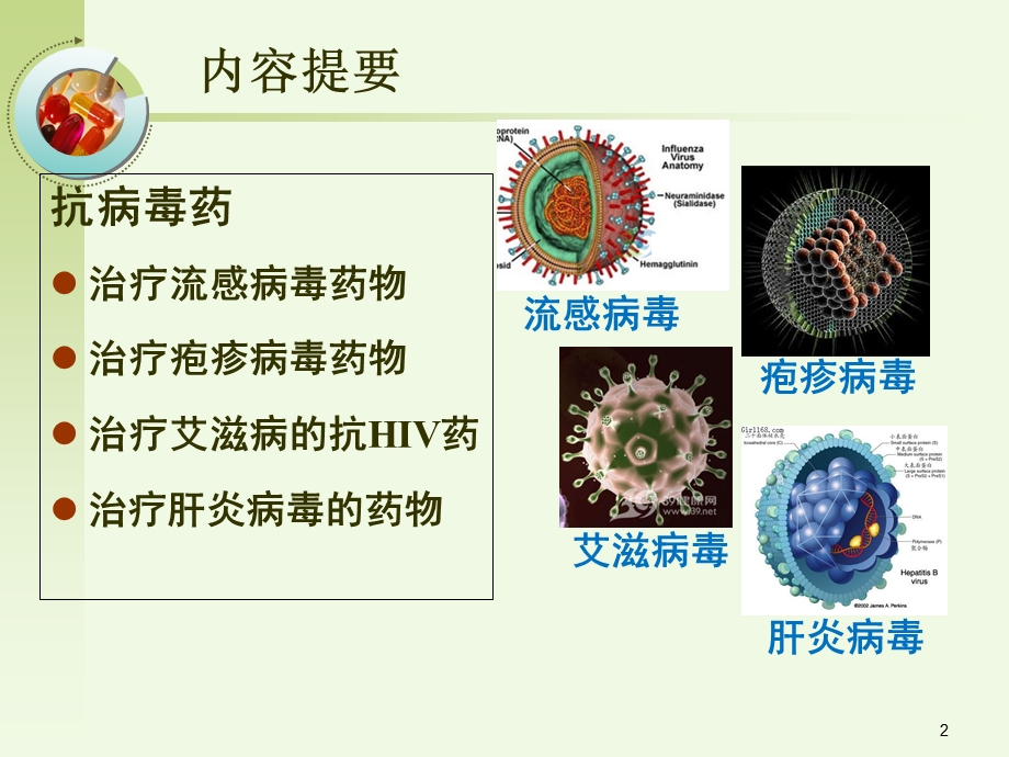 抗病毒药药理学课件.ppt_第2页