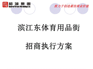 滨江东体育用品街招商执行方案讲义课件.ppt