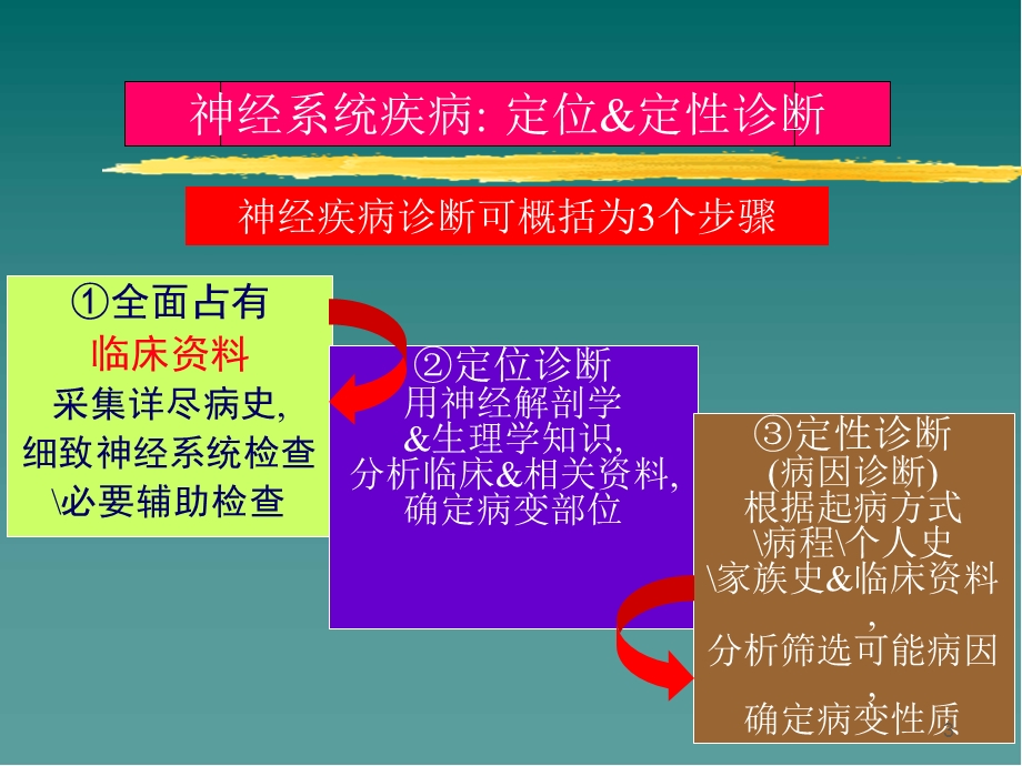 神经系统定位定性诊断医学课件.ppt_第3页