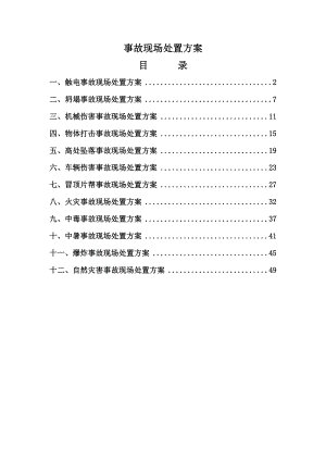 生产现场处置应急处置方案.doc