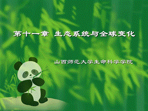 生态系统与全球变化课件.ppt