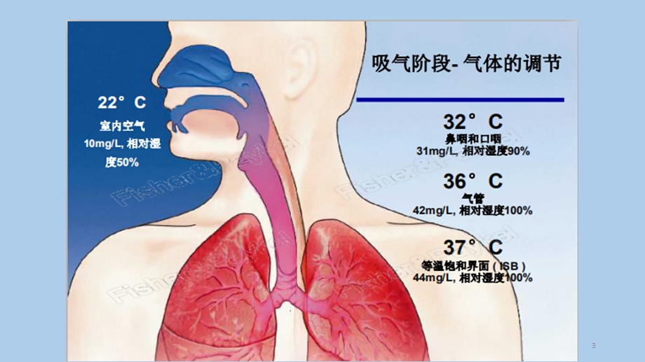 经鼻高流量湿化氧疗优质ppt课件.ppt_第3页