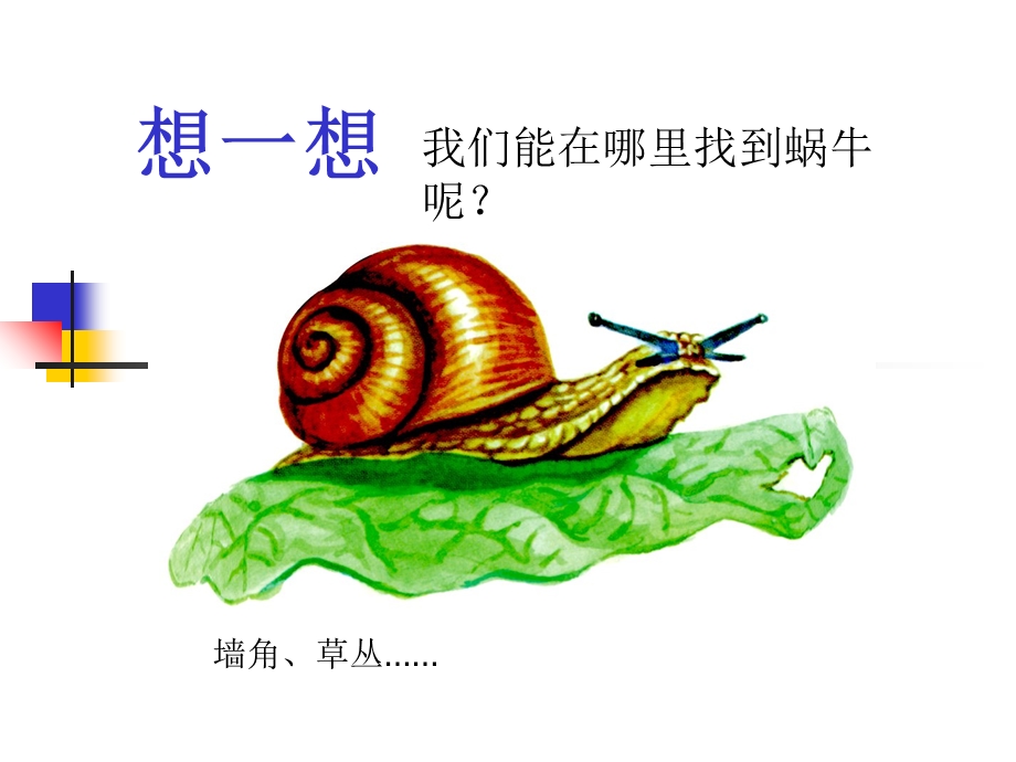 生物与非生物课件.ppt_第3页