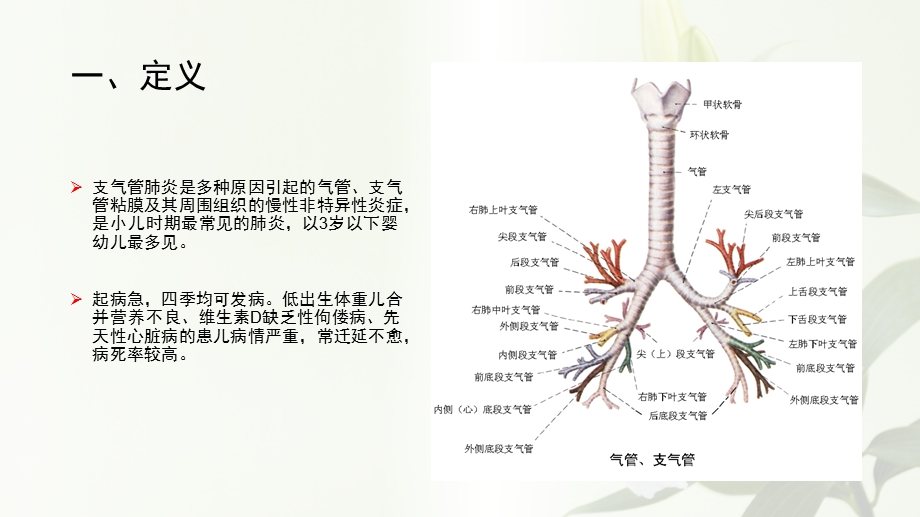 小儿支气管肺炎护理查房课件.pptx_第2页