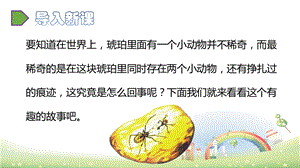 新部编版四年级下册《琥珀》课件.pptx