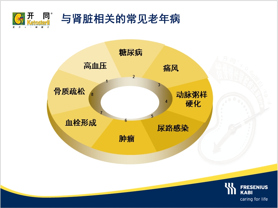 老年慢性肾脏病的特点和营养治疗课件.ppt_第3页