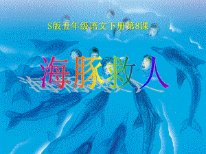 海豚救人-ppt课件.pptx