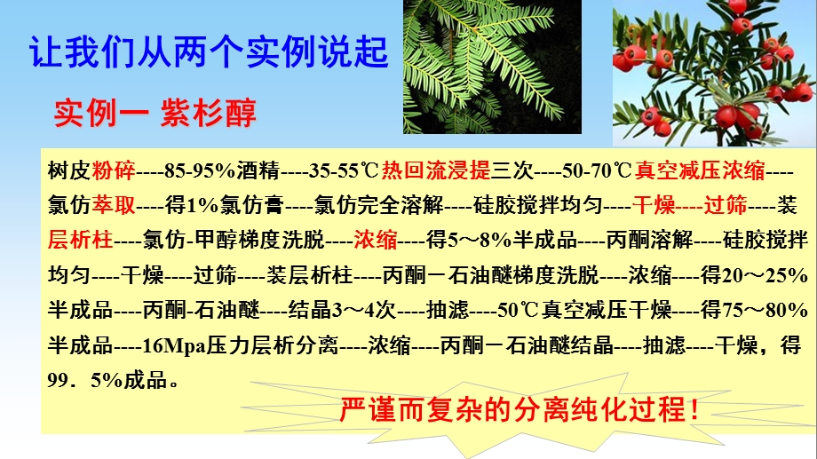 生物工程下游分离与纯化课件.ppt_第2页