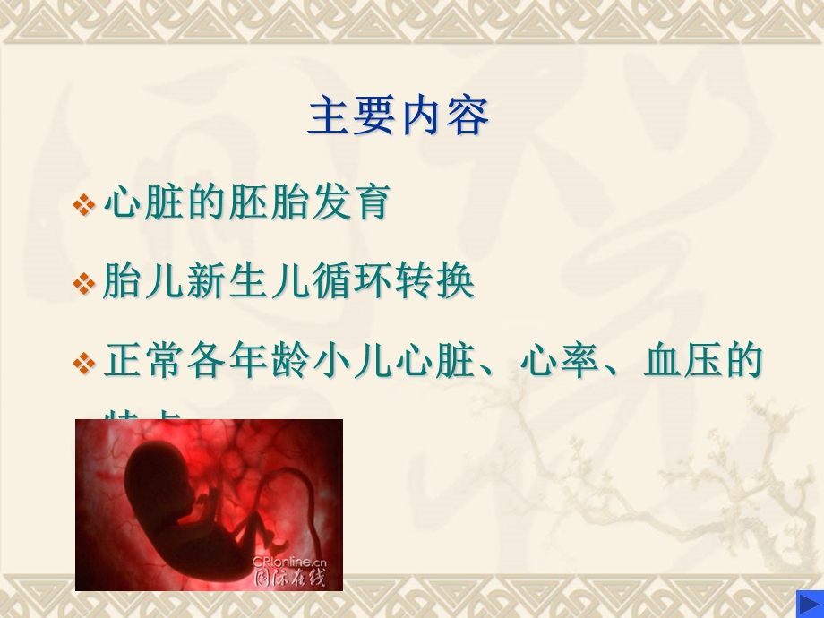 小儿循环系统解剖特点课件.ppt_第2页