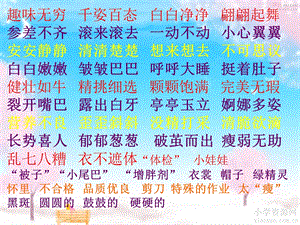 绿豆成长记课件.ppt