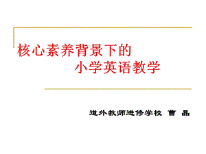 核心素养讲座选编课件.ppt