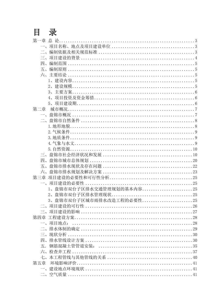 胜利街排水管网改造和新建工程可行性研究报告.doc_第2页