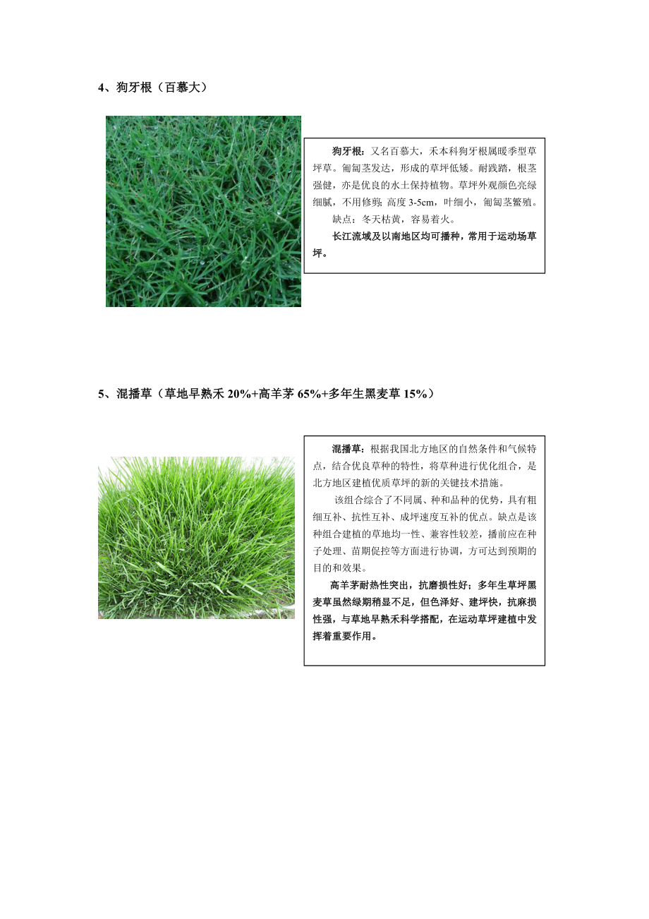 全国项目草坪草种标准(常用草种习性).doc_第2页