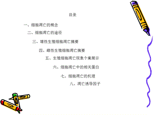 生殖细胞中的细胞凋亡课件.ppt