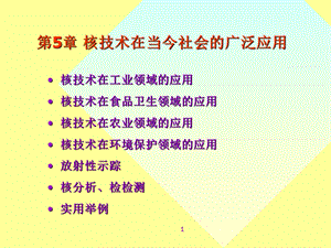 核技术在当今社会的广泛应用课件.ppt