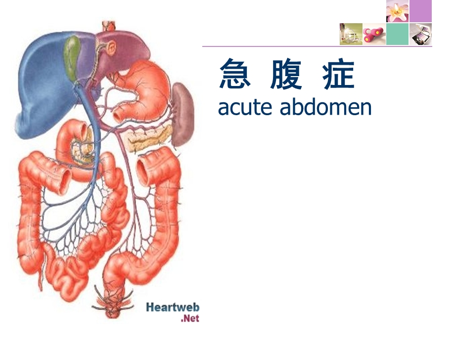 急腹症课件.ppt_第1页