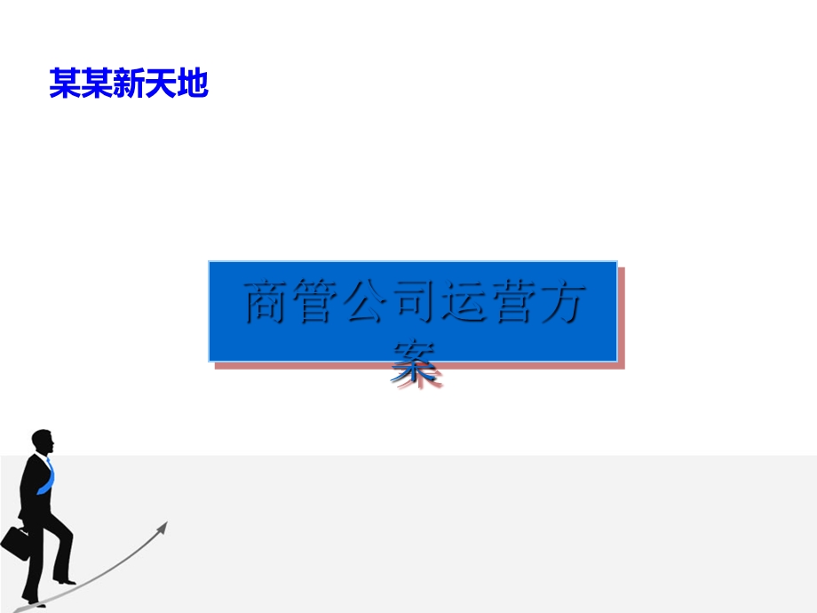 某商管公司运营方案课件.ppt_第1页