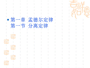 分离定律浙科版课件.ppt